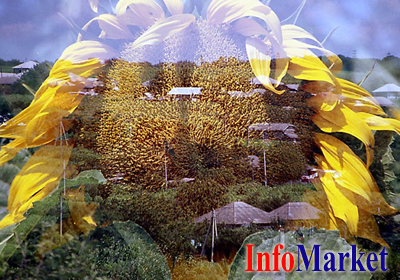 Крайний срок подачи заявок на получение авансовых субсидий на развитие сельской местности - 27 января.